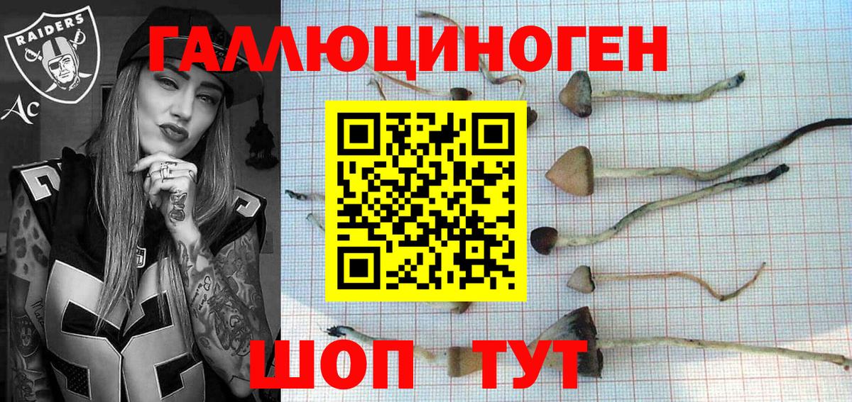 Галлюциногенные грибы Cubensis  Псилоцибиновые грибы MAGIC MUSHROOMS  Чайковский  Вход с VPN 