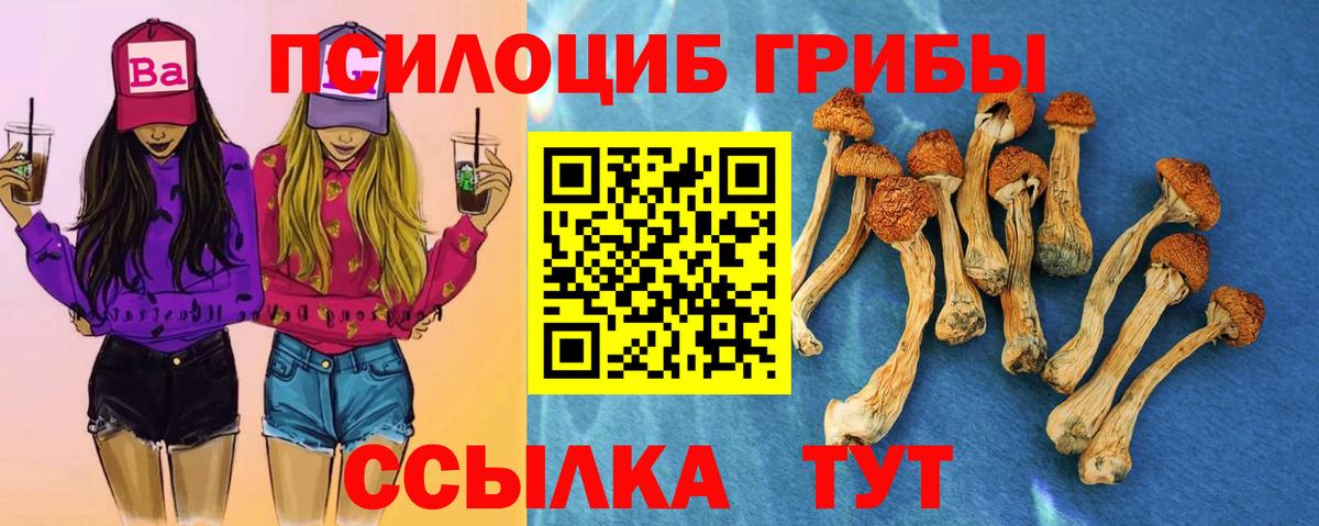 Галлюциногенные грибы Psilocybine cubensis Чайковский